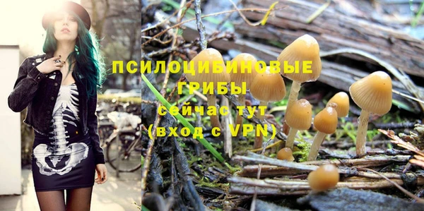 ПСИЛОЦИБИНОВЫЕ ГРИБЫ Богородск
