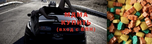 шишки Бородино