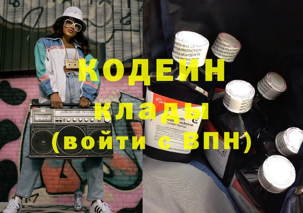 шишки Бородино