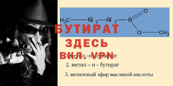 шишки Бородино
