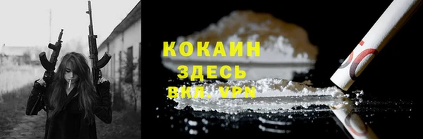 сатива Богданович