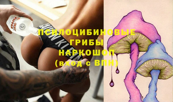 бошки Богородицк