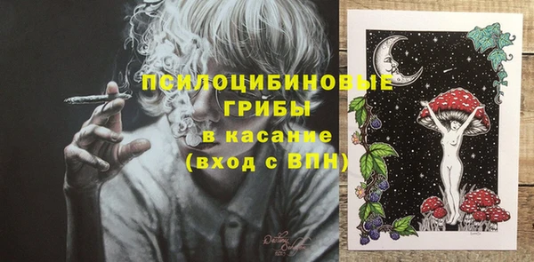 шишки Бородино