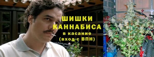 ПСИЛОЦИБИНОВЫЕ ГРИБЫ Богородск