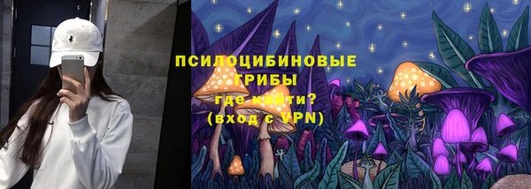 apvp Бронницы