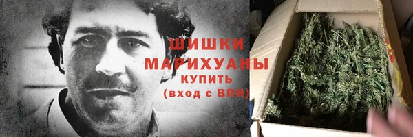 шишки Бородино