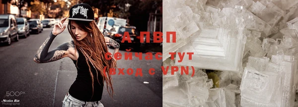 шишки Бородино