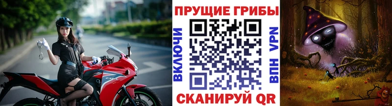 блэк спрут маркетплейс  Котово  Псилоцибиновые грибы мицелий 