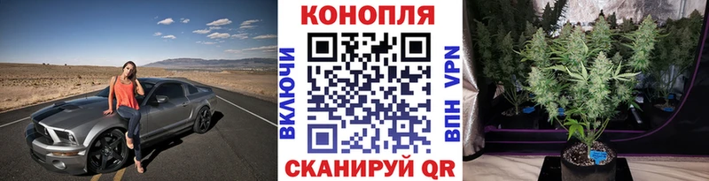 Бошки Шишки планчик  Котово 